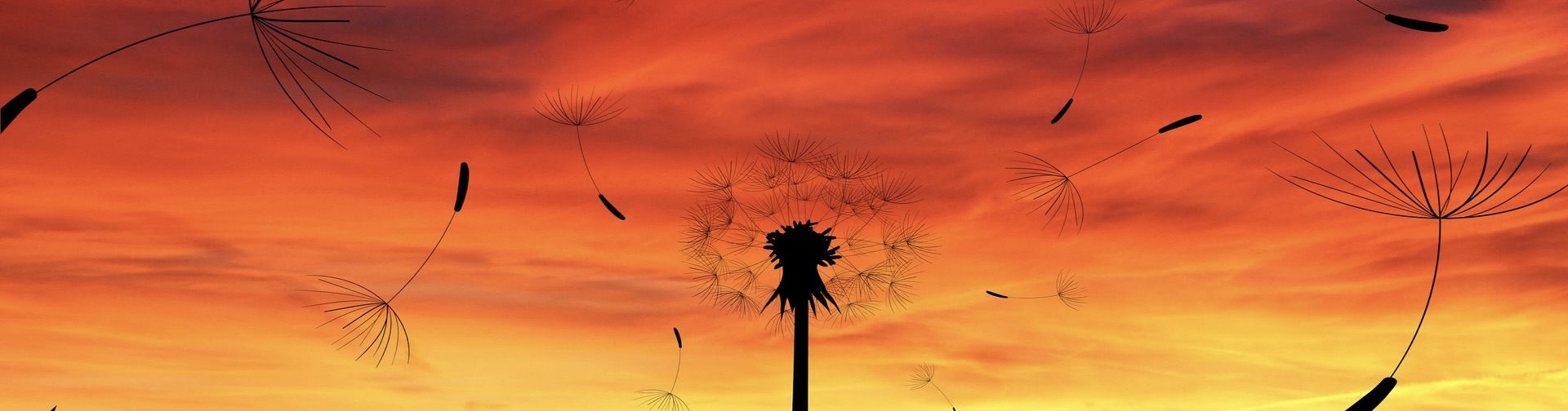 Wind